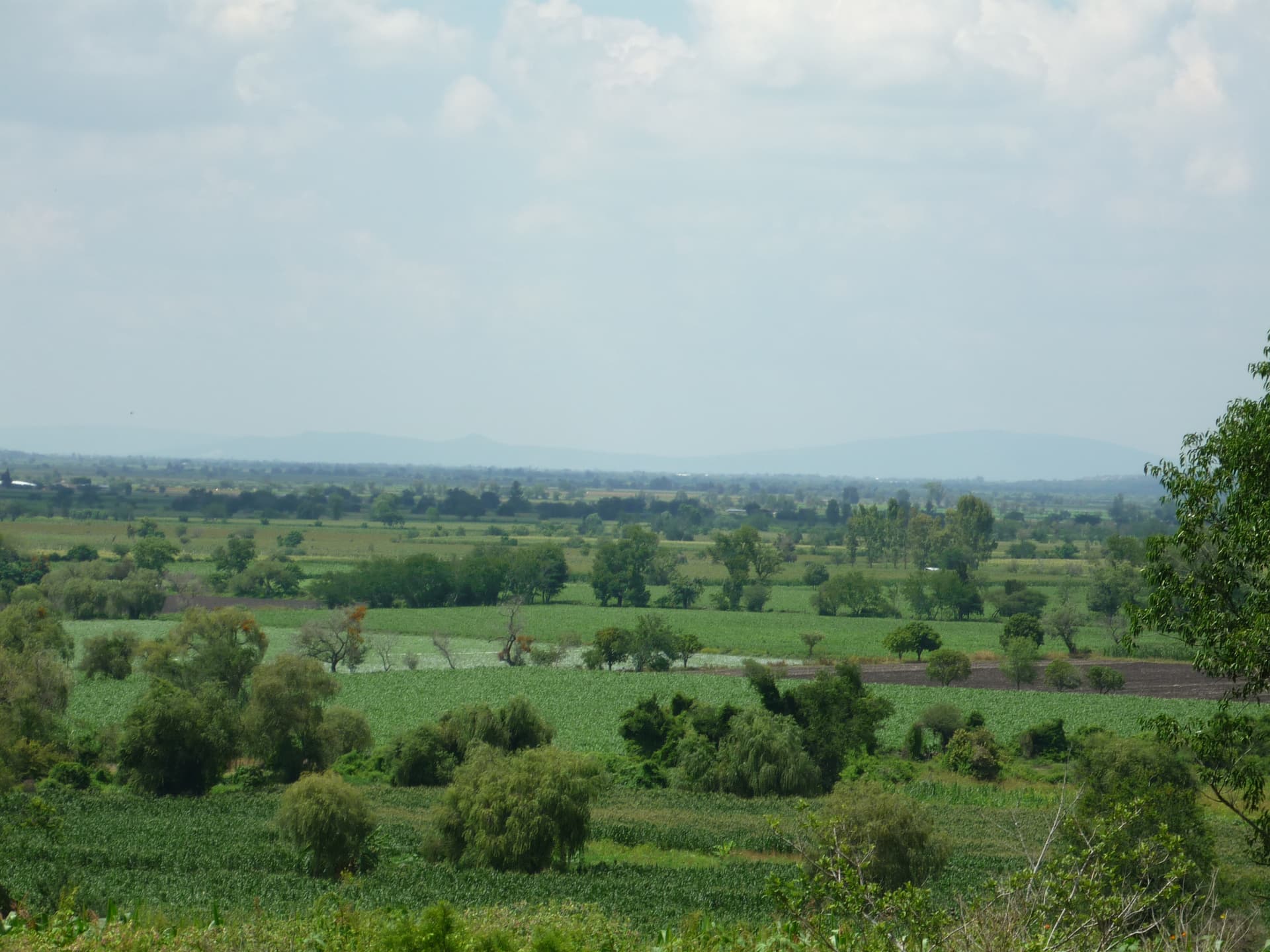 Atención personalizada