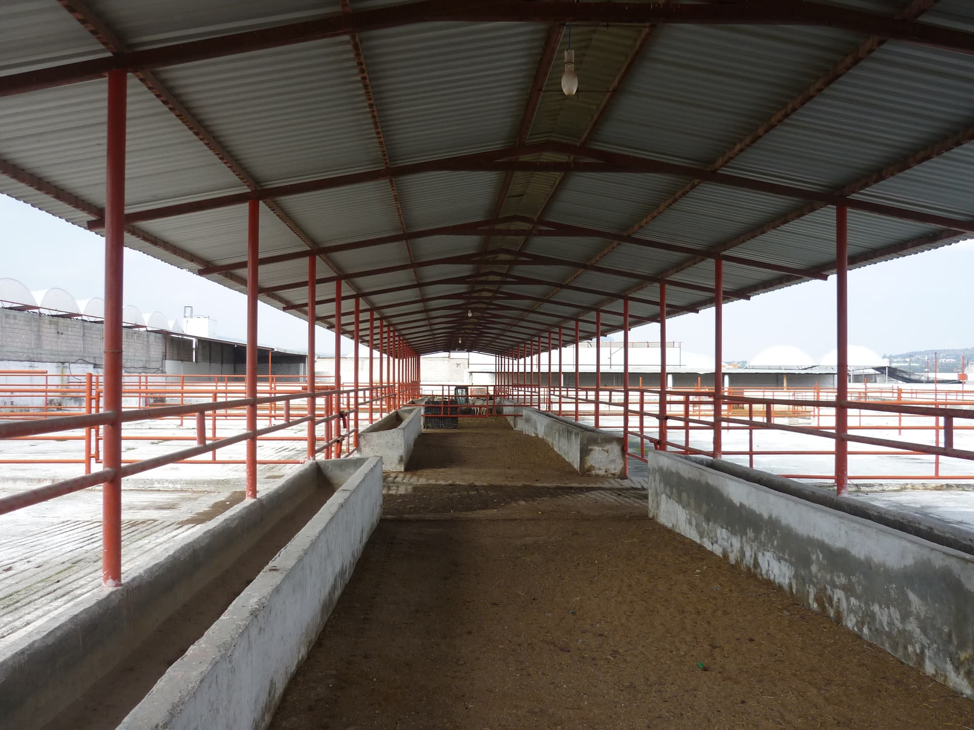 Avalúos Agropecuarios